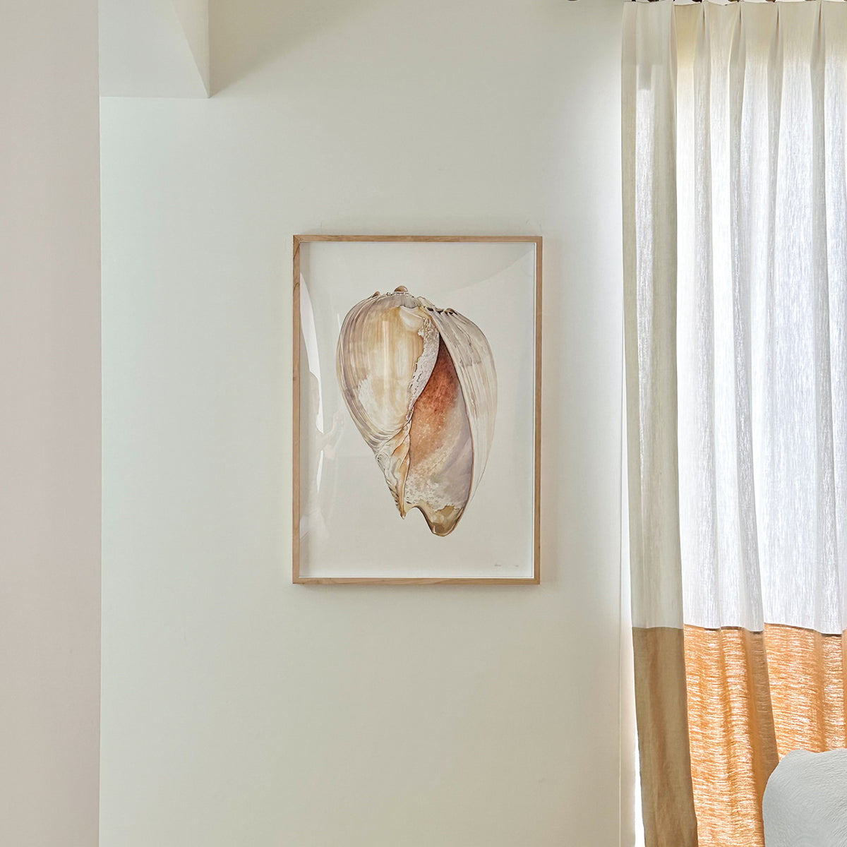 Baler Shell – PIP SPIRO